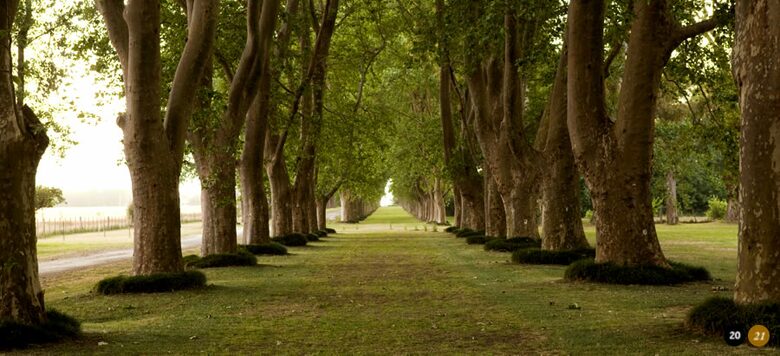 La Fortuna - Salto, Argentina