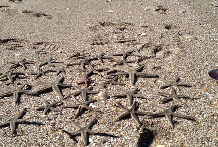 Beach Marsh View Creek Retreat - Georgetown, South Carolina