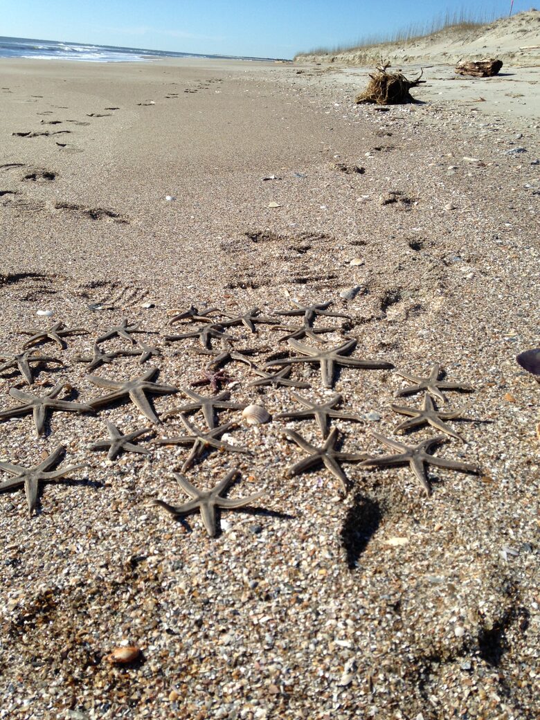 Beach Marsh View Creek Retreat - Georgetown, South Carolina