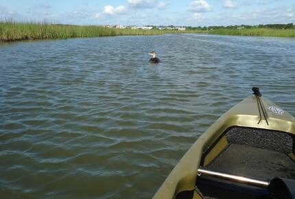 Beach Marsh View Creek Retreat - Georgetown, South Carolina