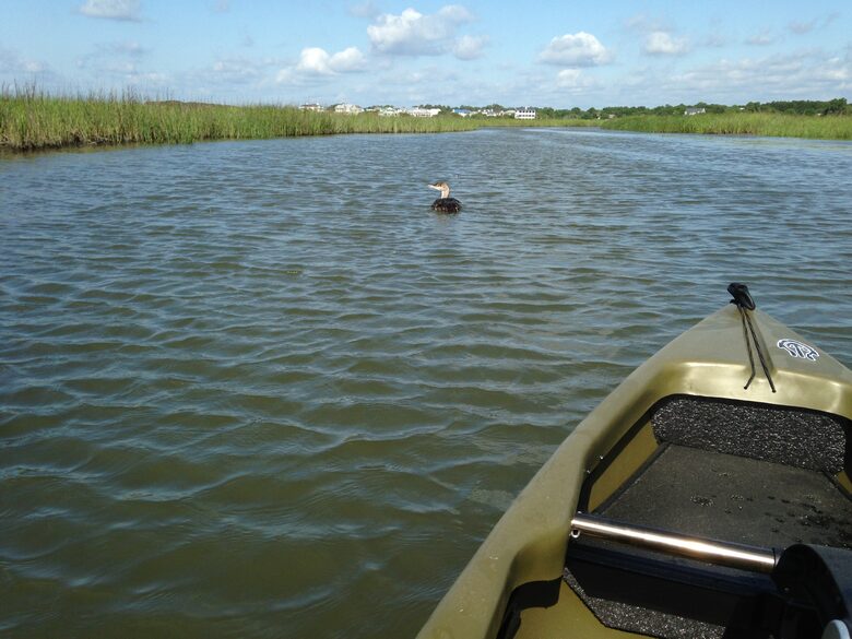 Beach Marsh View Creek Retreat - Georgetown, South Carolina