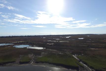 Beach Marsh View Creek Retreat - Georgetown, South Carolina