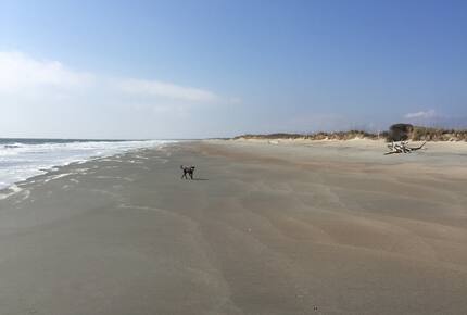 Beach Marsh View Creek Retreat - Georgetown, South Carolina