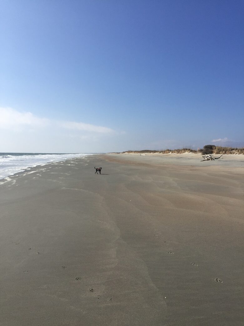 Beach Marsh View Creek Retreat - Georgetown, South Carolina