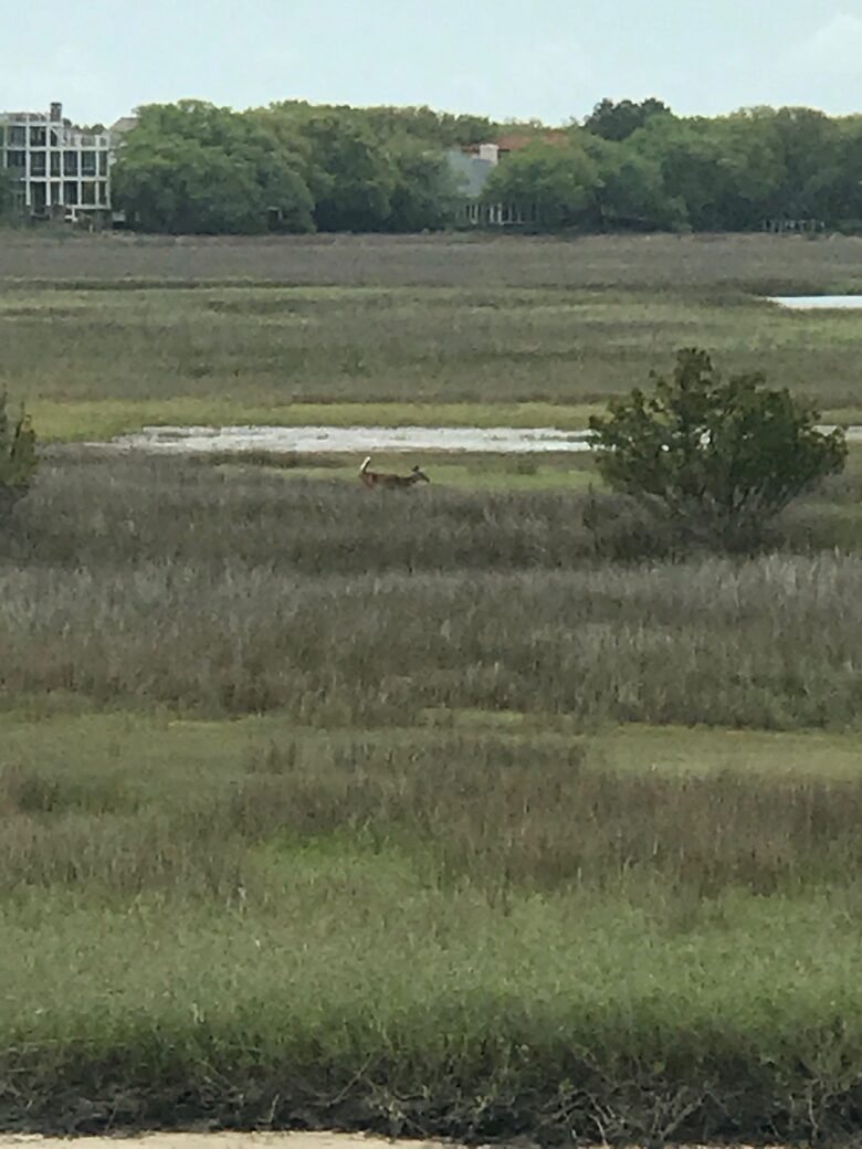 Beach Marsh View Creek Retreat - Georgetown, South Carolina