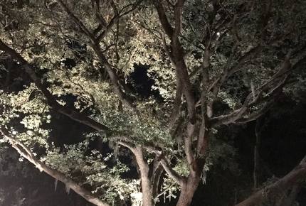 Beach Marsh View Creek Retreat - Georgetown, South Carolina