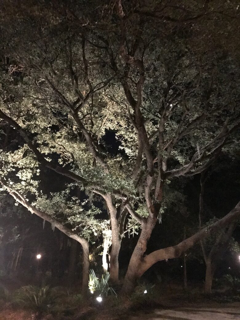 Beach Marsh View Creek Retreat - Georgetown, South Carolina