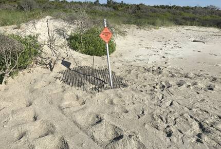 Beach Marsh View Creek Retreat - Georgetown, South Carolina