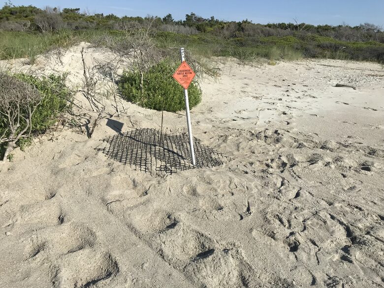 Beach Marsh View Creek Retreat - Georgetown, South Carolina