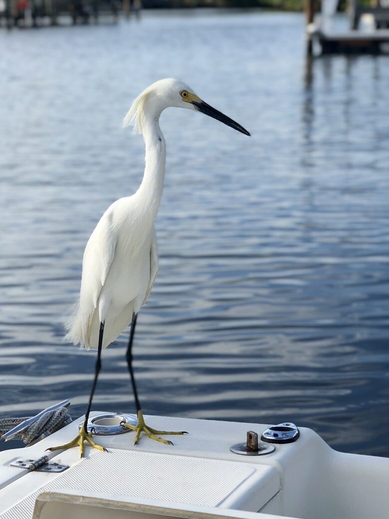 Calliope Cottage - North Captiva, Florida