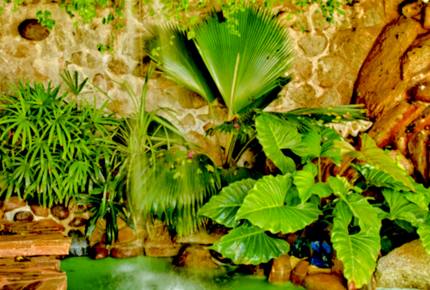 Villa Alejandra and Villa Karin - Acapulco, Mexico