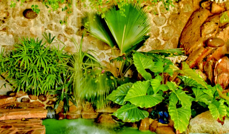 Villa Alejandra and Villa Karin - Acapulco, Mexico