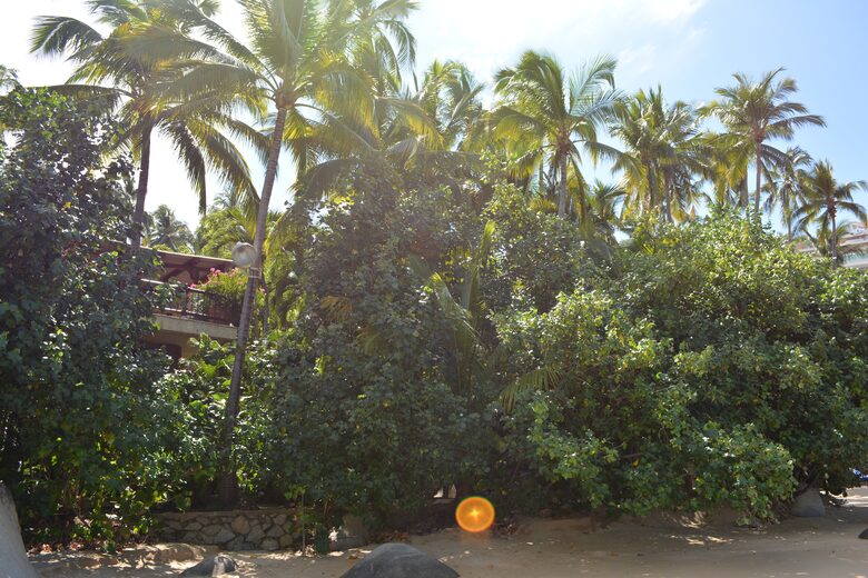 Villa Alejandra and Villa Karin - Acapulco, Mexico