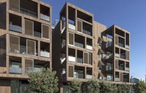 Wynyard Wonder - Auckland, New Zealand