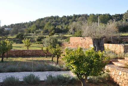 Ibiza Countryside Villa - Ibiza, Spain