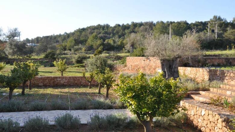 Ibiza Countryside Villa - Ibiza, Spain