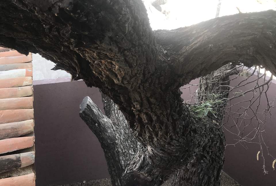 Luxury Modern in San Miguel - San Miguel de Allende, Mexico