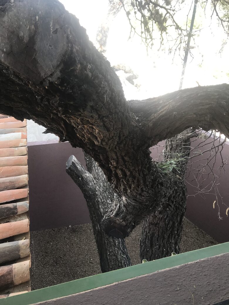 Luxury Modern in San Miguel - San Miguel de Allende, Mexico