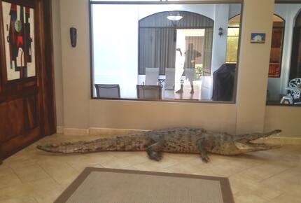 The Embassy-Hermosa Palms, Playa Hermosa - Playa Hermosa, Costa Rica