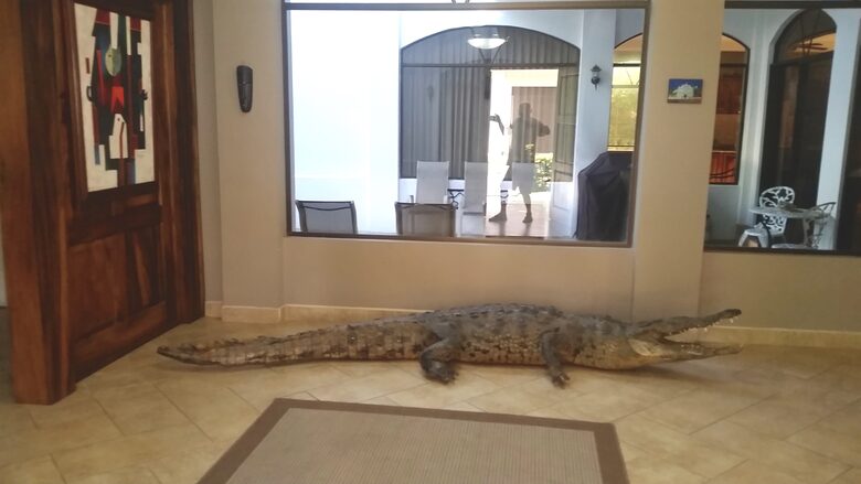 The Embassy-Hermosa Palms, Playa Hermosa - Playa Hermosa, Costa Rica