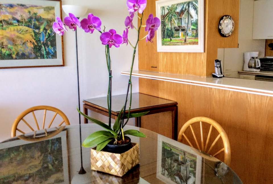 Colony Surf - Honolulu, Hawaii