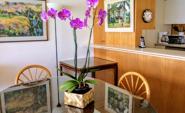 Colony Surf - Honolulu, Hawaii