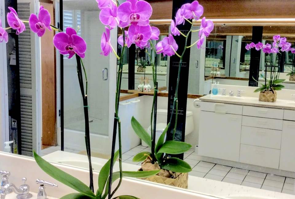 Colony Surf - Honolulu, Hawaii