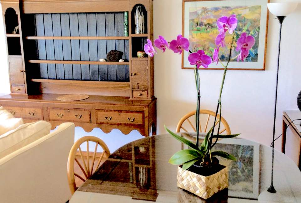 Colony Surf - Honolulu, Hawaii