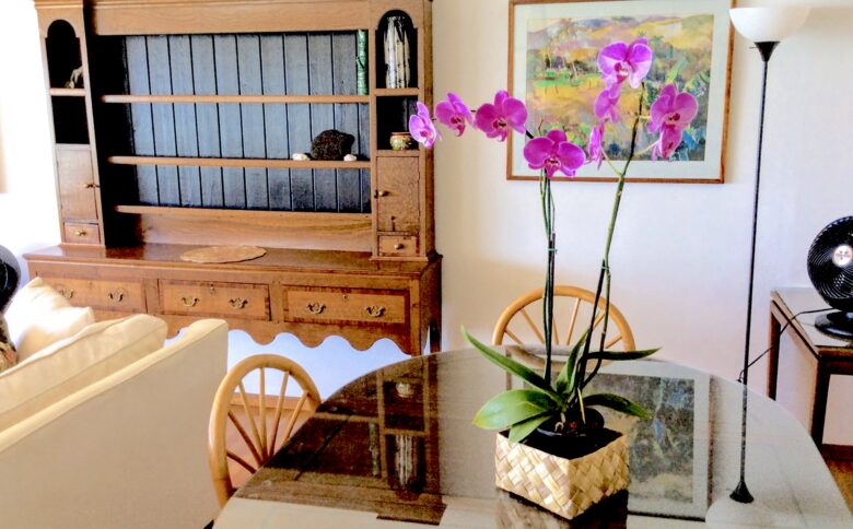 Colony Surf - Honolulu, Hawaii