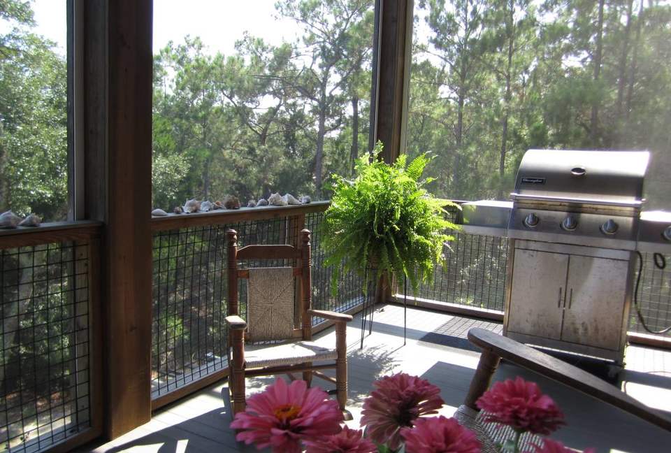 Beautiful Grace Point Cape Romain - McClellanville, South Carolina