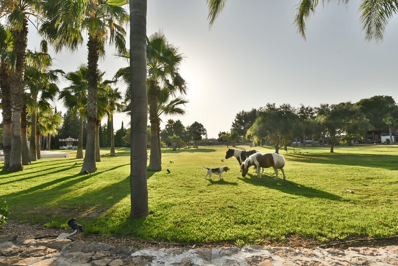 Villa Rosa (R) - Ibiza, Spain