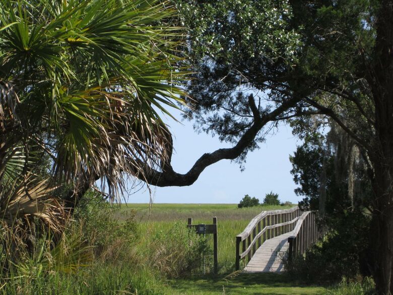 Beautiful Grace Point Cape Romain - McClellanville, South Carolina