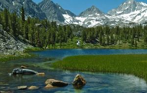 Mammoth Sierra Star - Mammoth, California