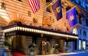 The St. Regis Residence Club, New York 2BR - New York City, New York