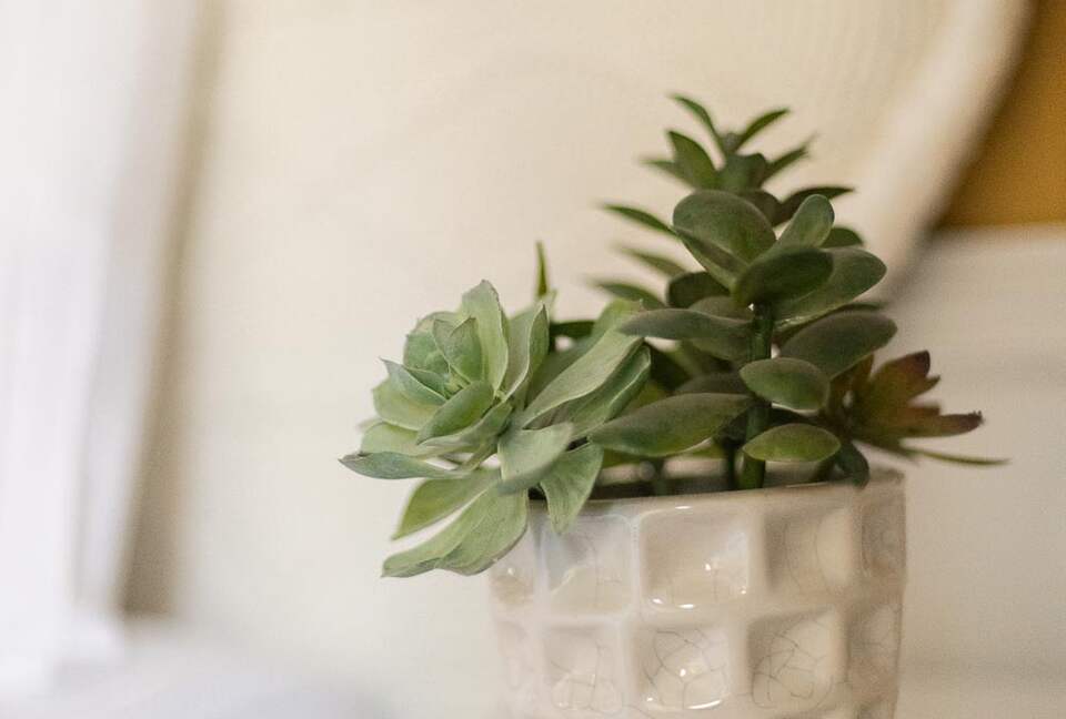 Luxury Boutique Cottage at top of Main Street - Park City, Utah