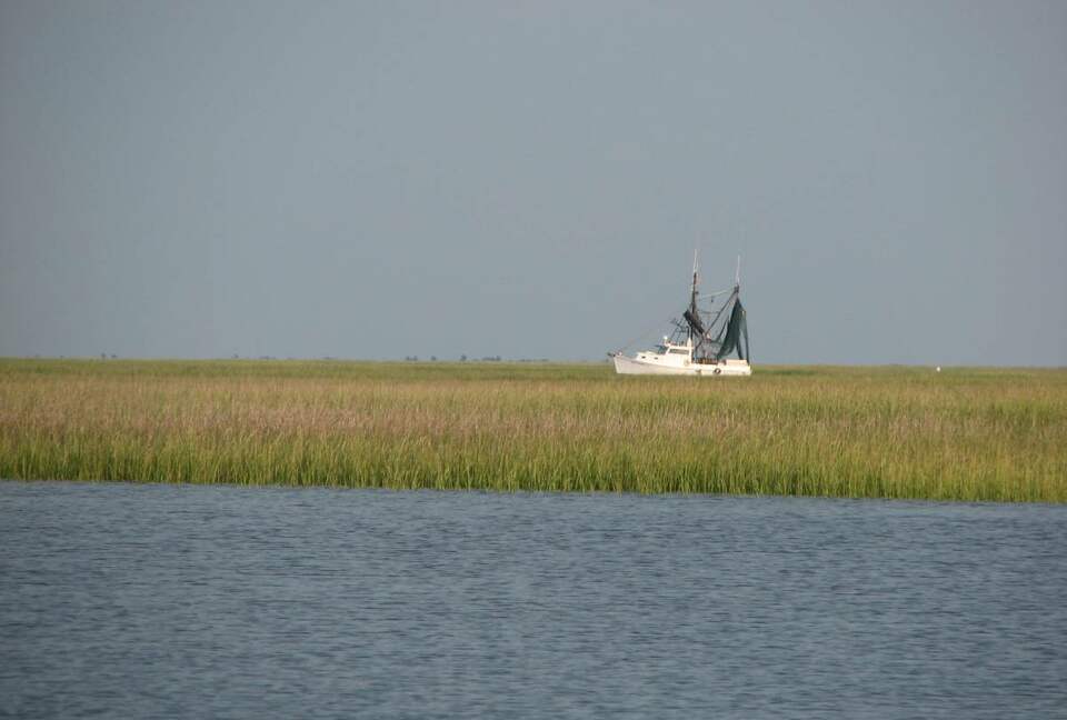 Beautiful Grace Point Cape Romain - McClellanville, South Carolina