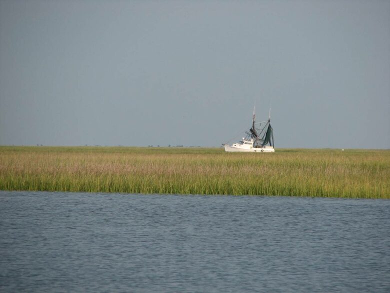 Beautiful Grace Point Cape Romain - McClellanville, South Carolina