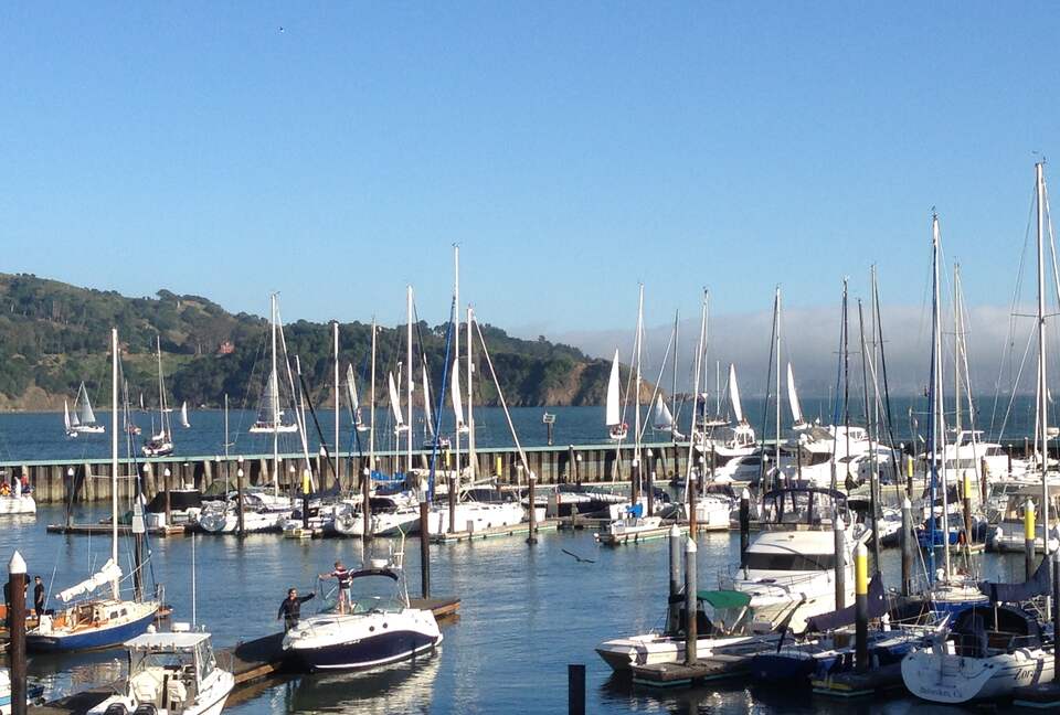 Waterfront Views in Downtown Tiburon - Tiburon, California