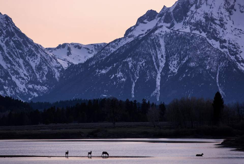 Four Seasons Jackson Hole - Three-Bedroom Resort Residence - Jackson Hole, Wyoming