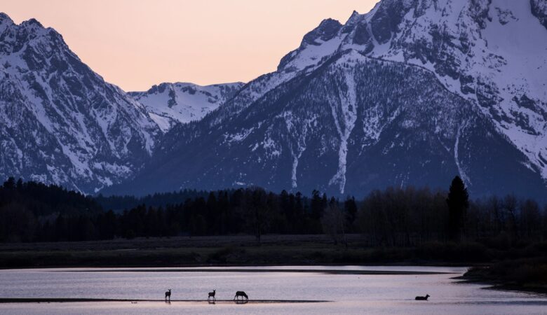Four Seasons Jackson Hole - Three-Bedroom Resort Residence - Jackson Hole, Wyoming