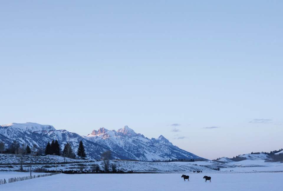 Four Seasons Jackson Hole - Three-Bedroom Resort Residence - Jackson Hole, Wyoming