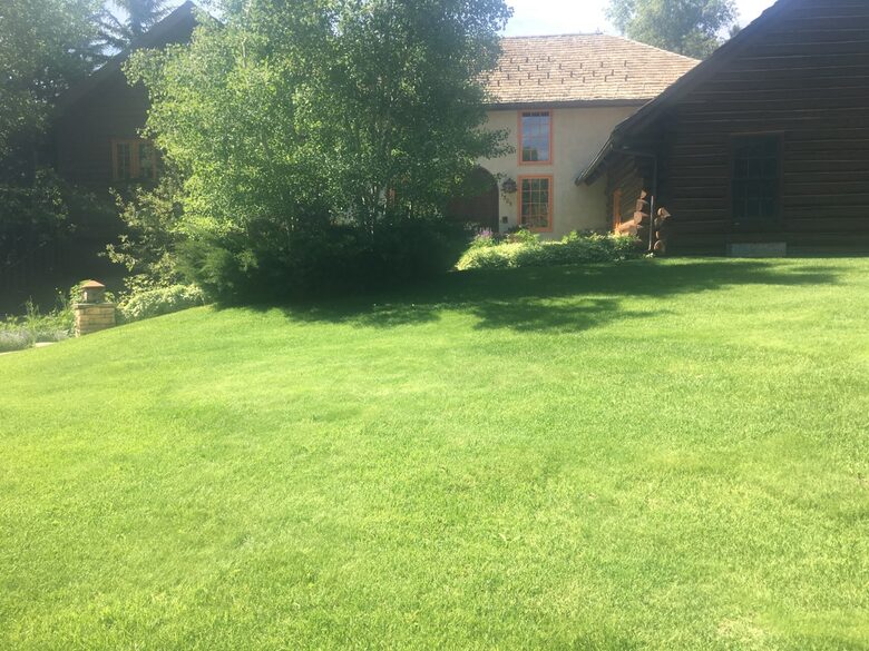 Happy Squirrel Cabin - Aspen, Colorado