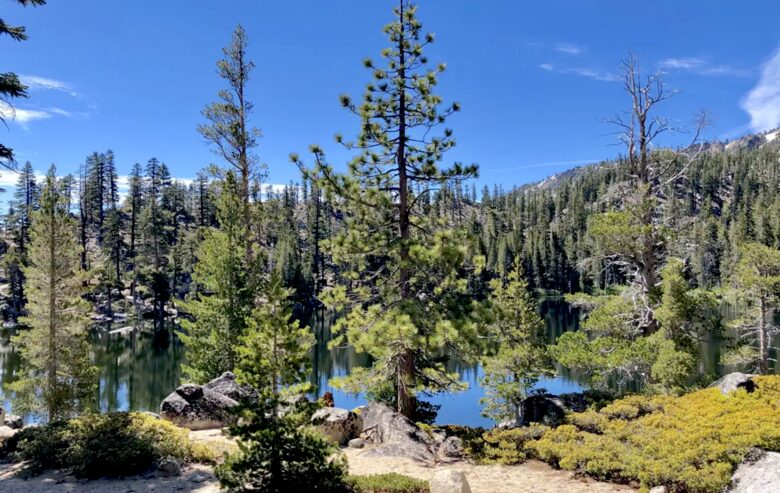 Cozy Tahoe Vista Cabin - Kings Beach, California