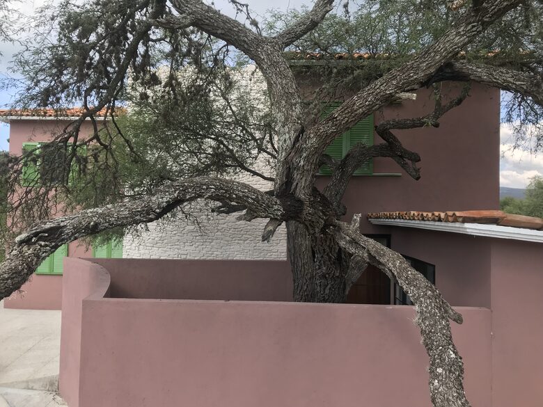 Luxury Modern in San Miguel - San Miguel de Allende, Mexico