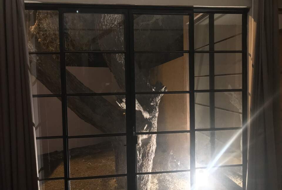 Luxury Modern in San Miguel - San Miguel de Allende, Mexico