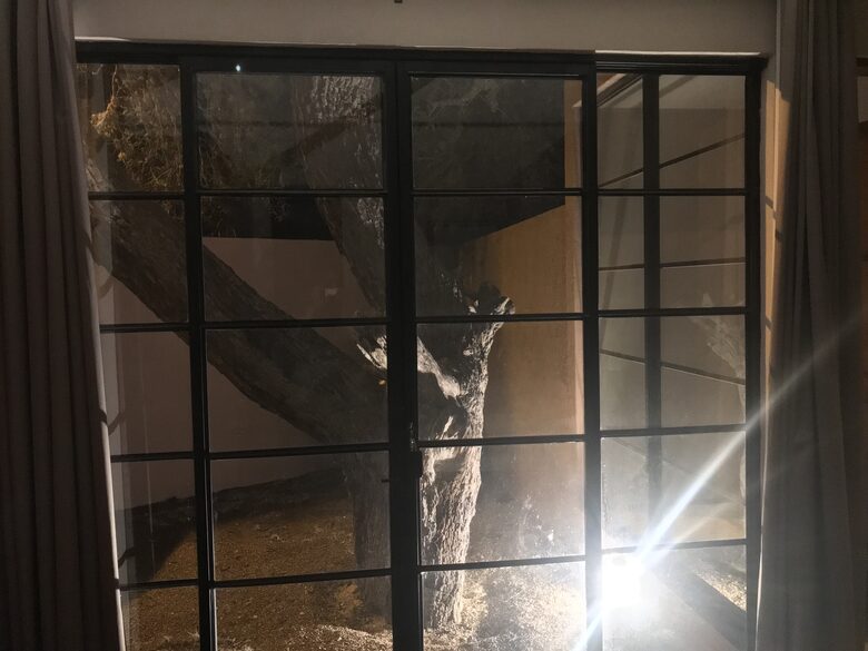 Luxury Modern in San Miguel - San Miguel de Allende, Mexico