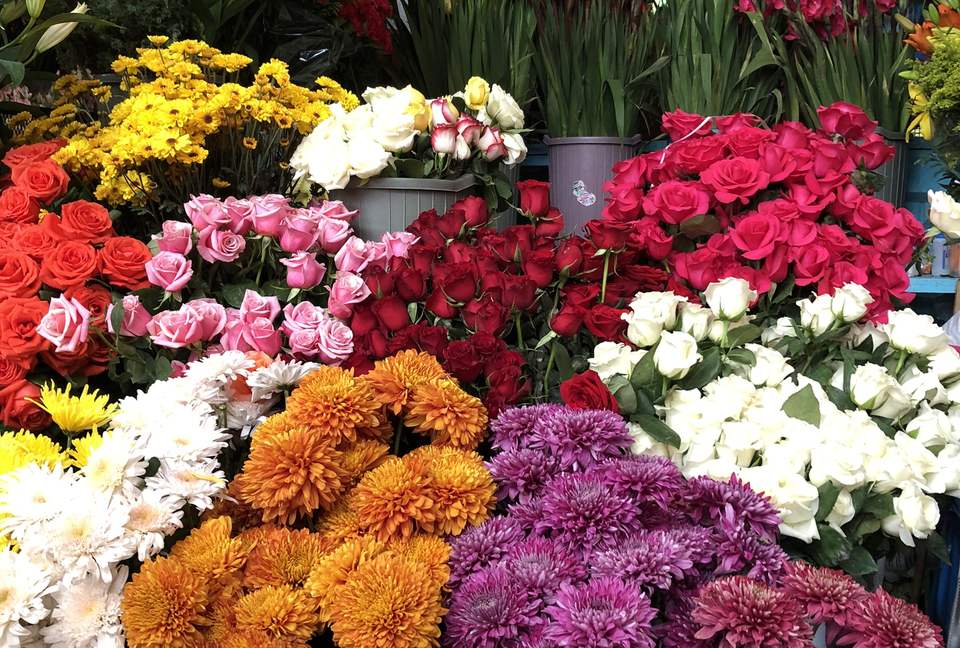 Villa Privada - San Miguel de Allende, Mexico