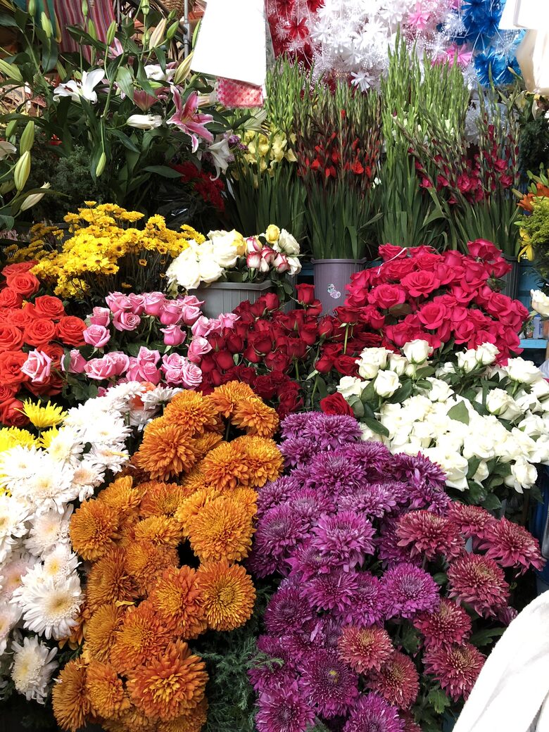 Villa Privada - San Miguel de Allende, Mexico