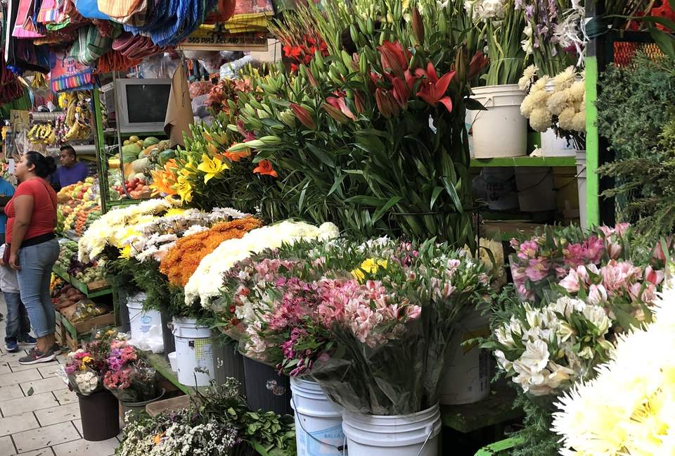 Villa Privada - San Miguel de Allende, Mexico