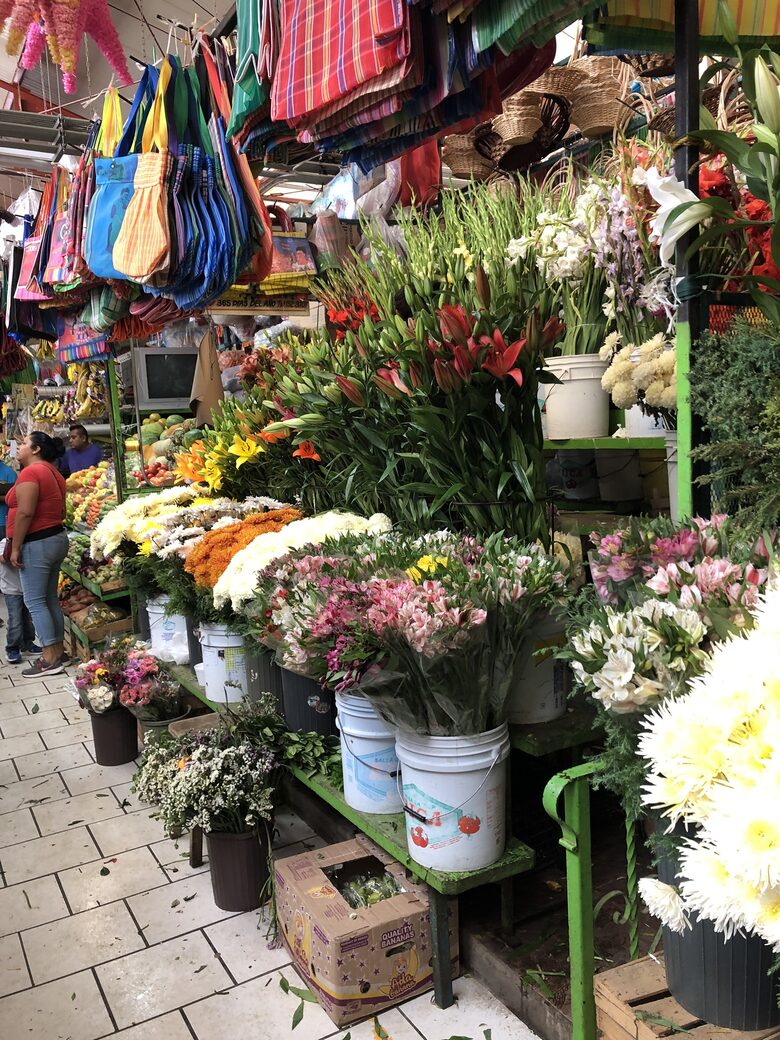 Villa Privada - San Miguel de Allende, Mexico
